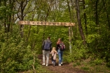 Machen Sie eine Wanderung durch den Zauberwald.