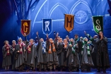 Genießen Sie die spektakuläre Show!