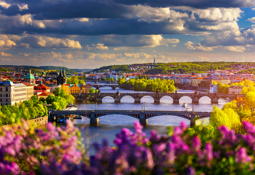 Kaum etwas prägt die Hauptstadt Tschechiens so sehr wie ihre Brücken über die Moldau.