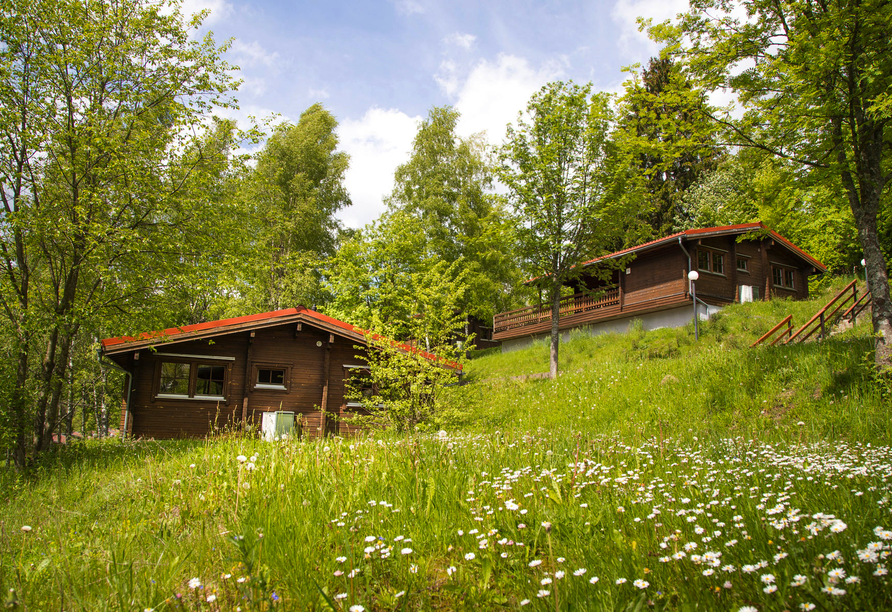 Die Ferienhäuser im Werrapark Resort Am Sommerberg empfangen Sie in idyllischer Naturkulisse.