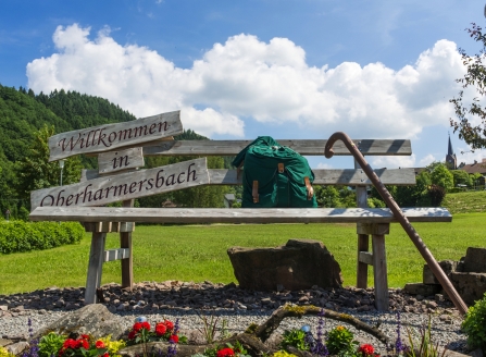 Willkommen im Luftkurort Oberhamersbach!