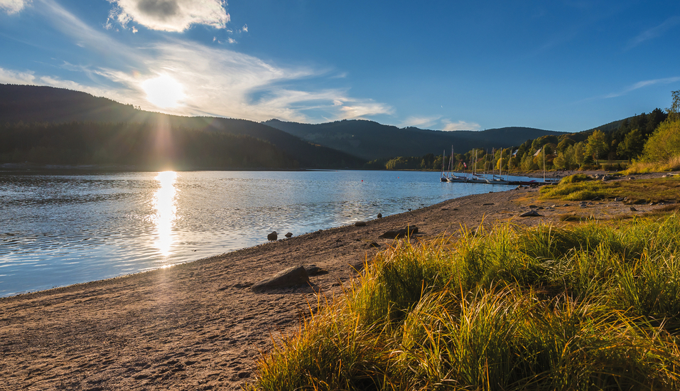 Bei einem Spaziergang am Ufer des Schluchsees können Sie zur Ruhe kommen.