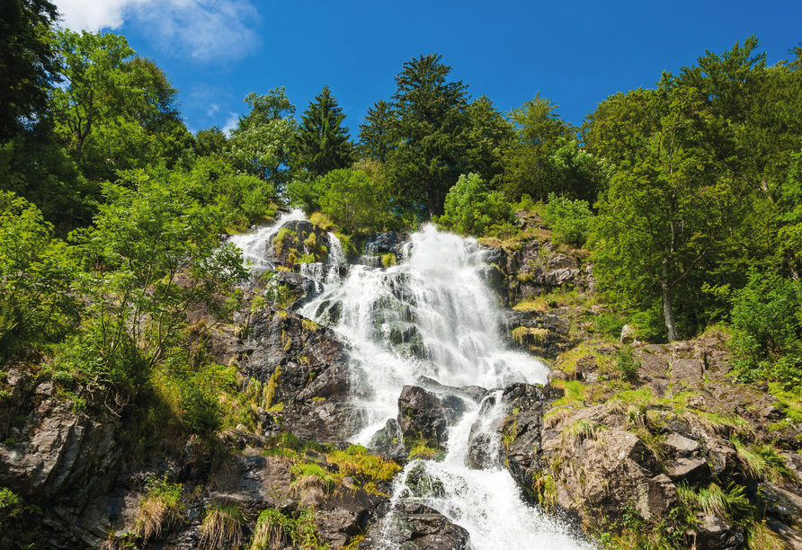 Die imposanten Todtnauer Wasserfälle warten auf Ihren Besuch!