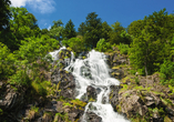 Die imposanten Todtnauer Wasserfälle warten auf Ihren Besuch!