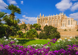 Besuchen Sie die Hauptstadt von Mallorca, Palma de Mallorca, mit der eindrucksvollen Kathedrale.