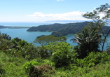 Costa Rica ist wahres Naturparadies, das von den Einheimischen gepflegt und geschützt wird.