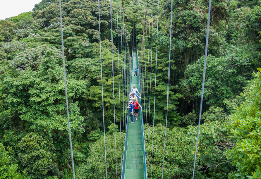 Die eindrucksvollen Hängebrücken von Monteverde