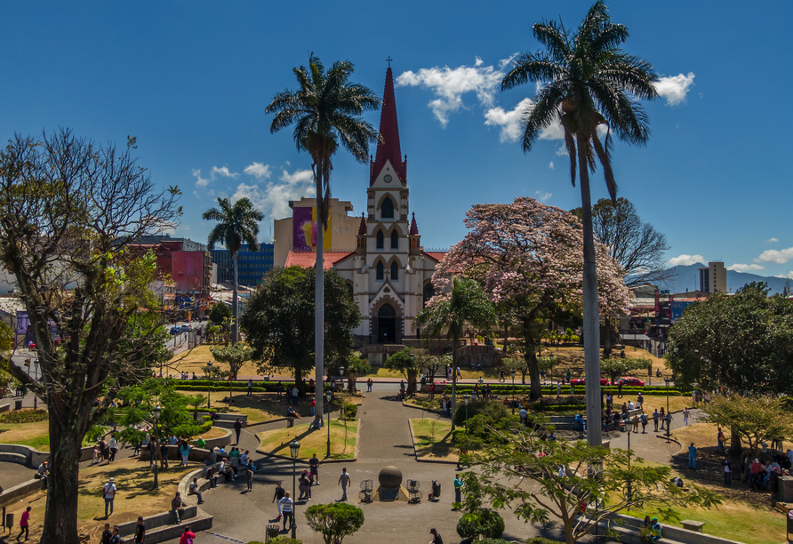 Nutzen SIe nach Ihrer Ankunft die Zeit, San José, die belebte Hauptstadt Costa Ricas, zu erkunden.