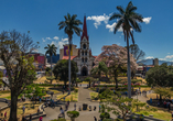 Nutzen SIe nach Ihrer Ankunft die Zeit, San José, die belebte Hauptstadt Costa Ricas, zu erkunden.