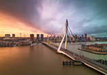 Die beeindruckende Skyline mit Erasmusbrücke in Rotterdam