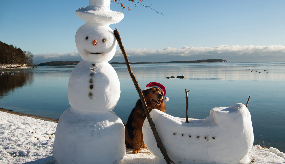 Nehmen Sie Ihren Vierbeiner mit in Ihren weihnachtlichen Urlaub.