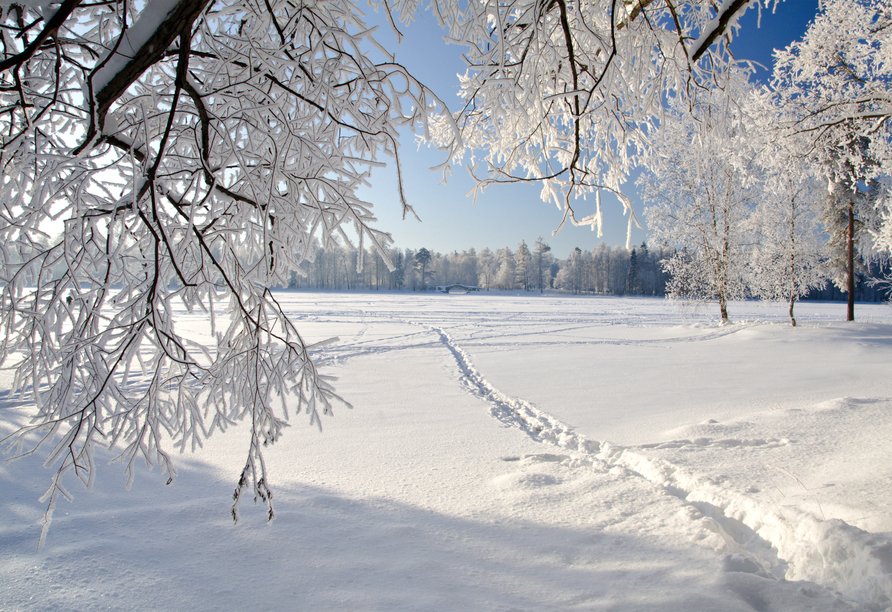 Stapfen Sie durch atemberaubend schöne schneeverdeckte Landschaften in der Niederlausitz.