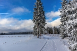 Herrliche Winterlandschaften erwarten Sie rund um den Höhenwanderweg Rennsteig.