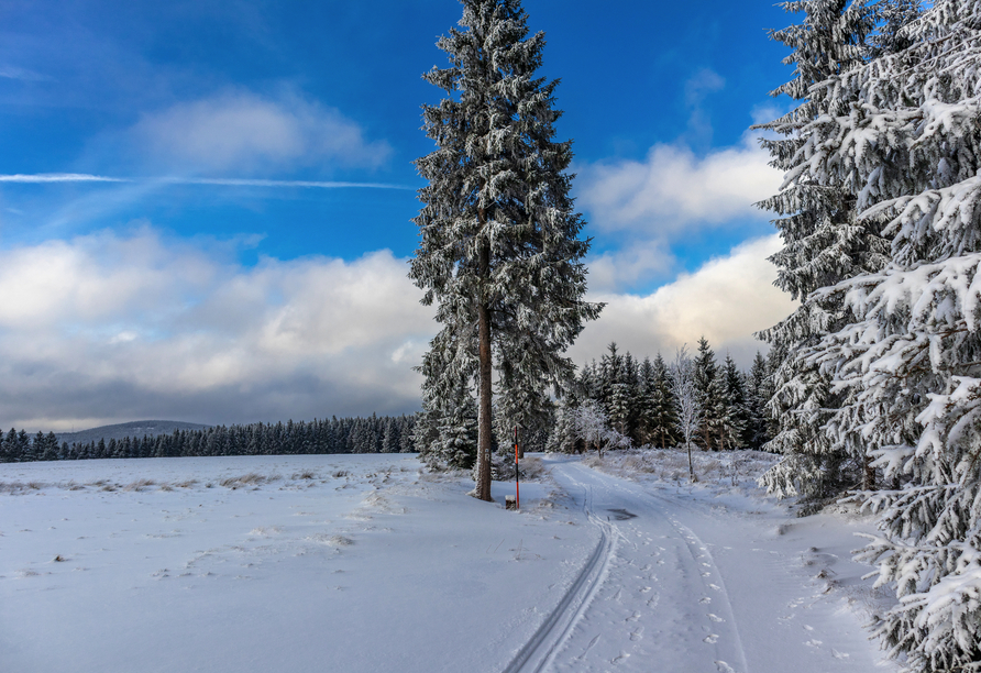 Herrliche Winterlandschaften erwarten Sie rund um den Höhenwanderweg Rennsteig.