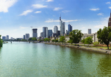 Genießen Sie das Panorama von Frankfurt.
