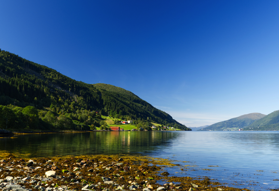 Genießen Sie einen entspannten Tag in Nordfjordeid. (Reisetermin: 07.09.)