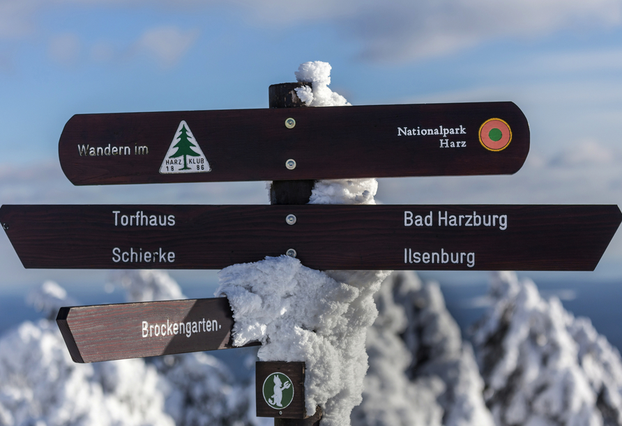 Der Harz ist ein absolutes Paradies für Wander-Begeisterte – auch im Winter!