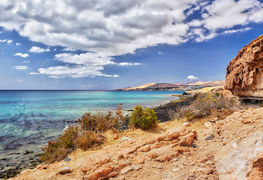 Wunderschöne Küstenabschnitte finden Sie auf Fuerteventura.