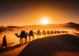 Dubai ist der ideale Ort, um einen Ausflug in die Wüste zu unternehmen.