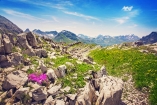 Entdecken Sie die schönen Landschaften in Vorarlberg. 
