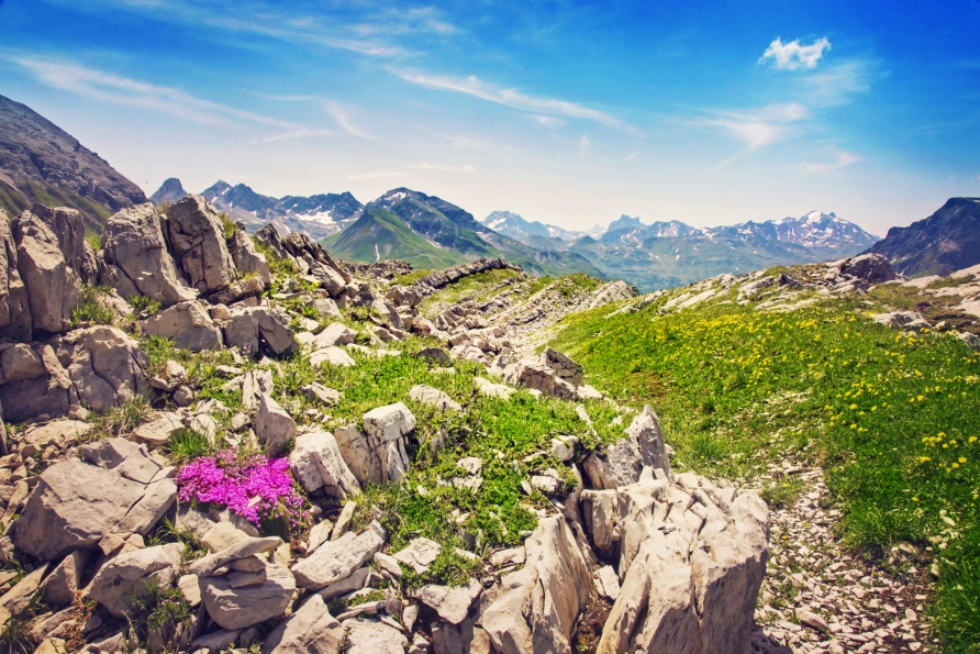 Entdecken Sie die schönen Landschaften in Vorarlberg. 