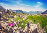 Entdecken Sie die schönen Landschaften in Vorarlberg. 