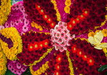 Entdecken Sie bei Ihrem Besuch in Funchal zahlreiche florale Kunstwerke.