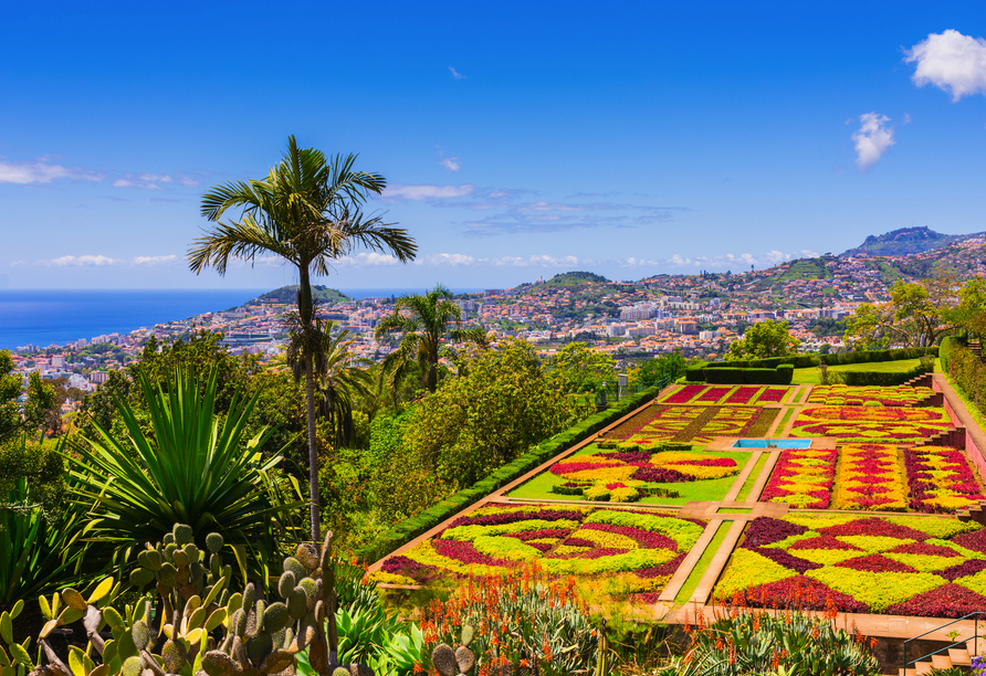 Besuchen Sie den Botanischen Garten in Funchal auf Madeira. 