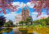 Freuen Sie sich auf die Sagrada Família – ein beeindruckendes Bauwerk.