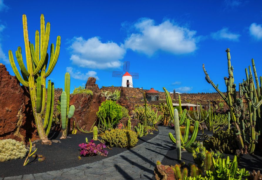 Der Kaktusgarten auf Lanzarote ist ein tolles Ausflugsziel.