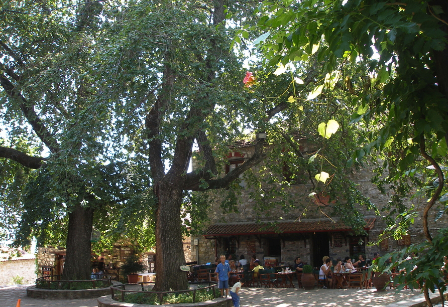 Gemütliches Beisammensitzen in den Tavernen gehört zur griechischen Lebensart.