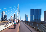 Überqueren Sie die Erasmus-Brücke in Rotterdam mit dem Fahrrad.