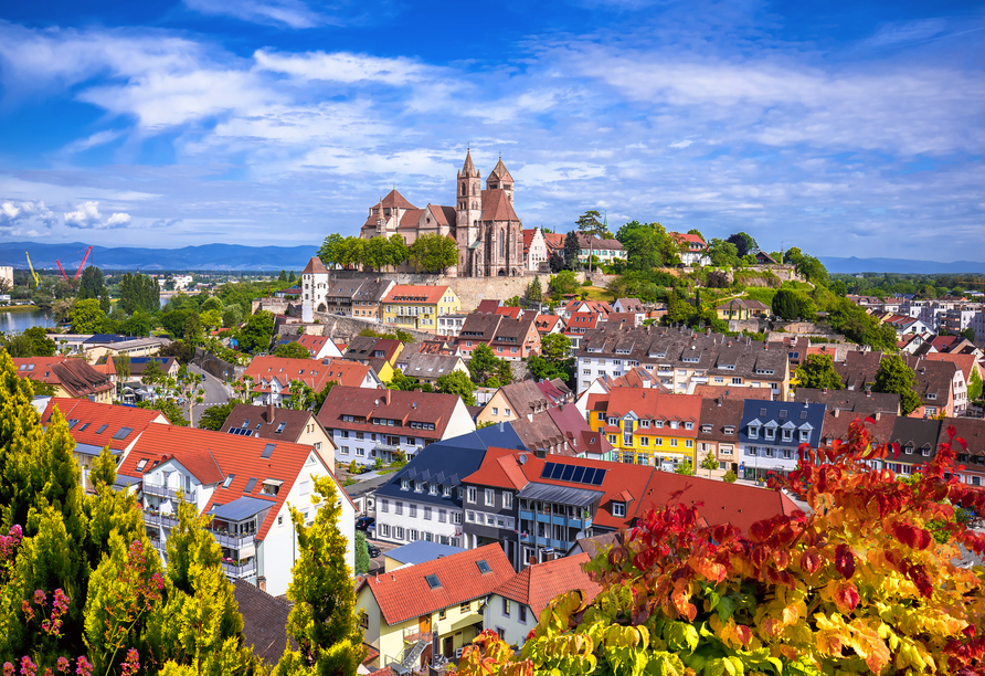Blick auf die historische Stadt Breisach mit Dom