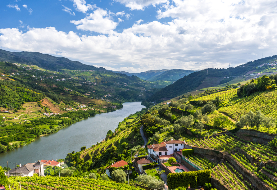 Der Douro schlängelt sich durch die traditionsreiche Weinlandschaft Nordportugals.