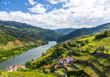 Der Douro schlängelt sich durch die traditionsreiche Weinlandschaft Nordportugals.