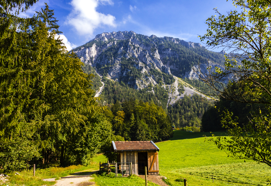 Der Rauschberg in Ruhpolding mit der kleinen Hütte im Vordergrund – wie aus dem Bilderbuch!