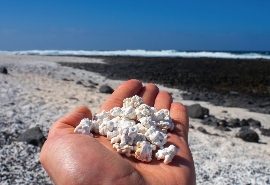 Der Popcorn-Strand ist ein besonders sehenswertes Naturphänomen auf Fuerteventura.