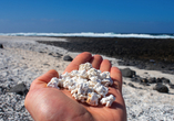 Der Popcorn-Strand ist ein besonders sehenswertes Naturphänomen auf Fuerteventura.