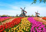 In Ihrem Reisemonat April herrscht Tulpenzeit in den Niederlanden.