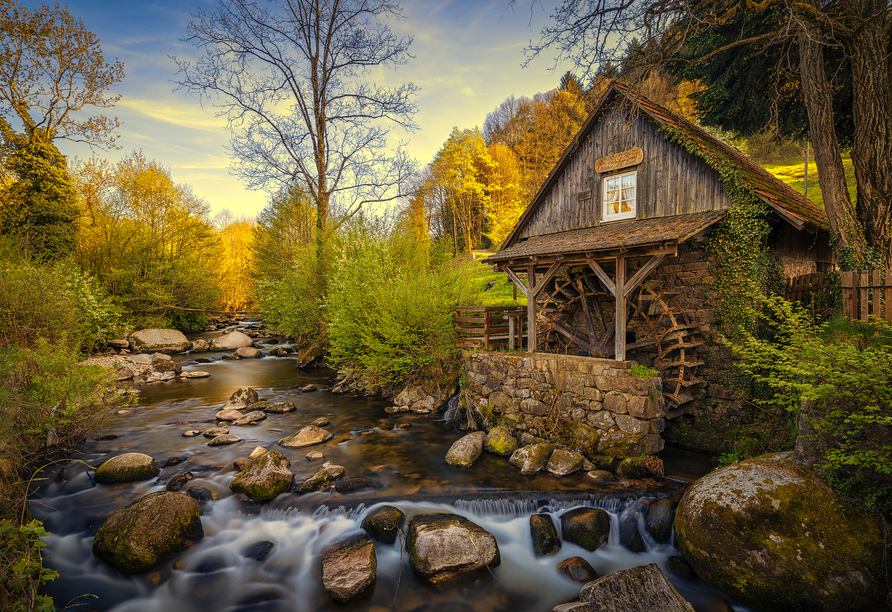 Der Schwarzwald bietet eine idyllische Umgebung für entspannte Wanderungen und malerische Fotos.