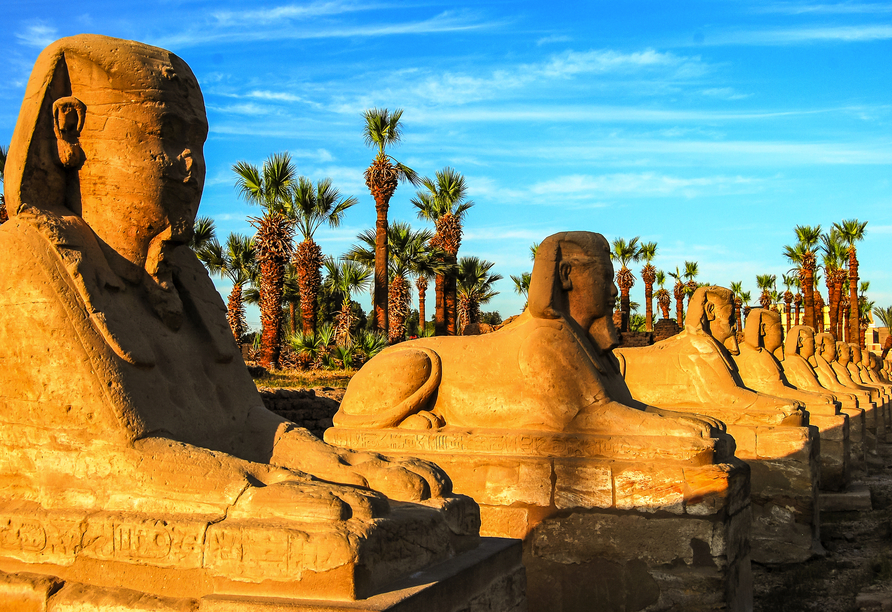 Die beeindruckende Sphinx-Allee in Luxor