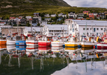 Bunte Boote am Hafen von Honningsvåg