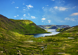 Grüne Landschaften in Honningsvåg