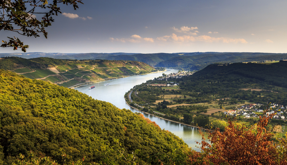 Blick auf das schöne Rheintal