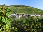 Zell ist wie viele andere Orte an der Mosel bekannt für den Weinanbau.