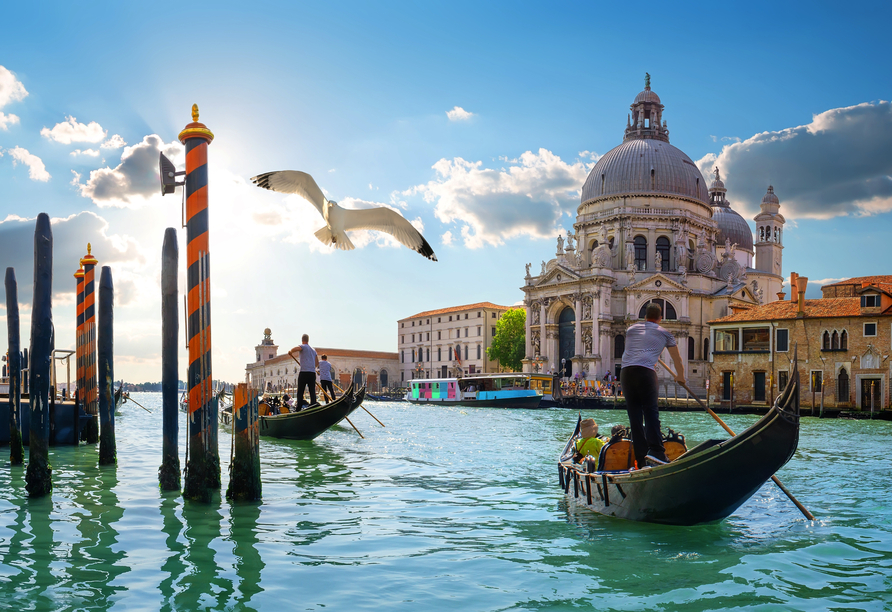 Ein besonderes Sahnehäubchen erwartet Sie am Ende Ihrer Rundreise: Venedig