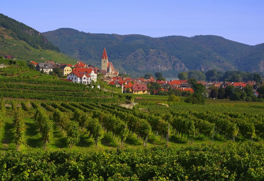 Freuen Sie sich auf Ihren Halt in der Wachau: Je nach Liegeplatz halten Sie in Weißenkirchen ...
