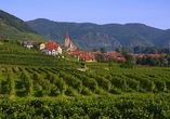 Freuen Sie sich auf Ihren Halt in der Wachau: Je nach Liegeplatz halten Sie in Weißenkirchen ...