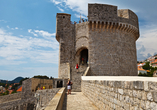 Umrunden Sie in Dubrovnik die Stadtmauer und besuchen Sie die Minčeta-Festung.