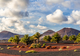 Entdecken Sie die rund 51 Quadratkilometer große Vulkanwelt des Nationalparks Timanfaya.